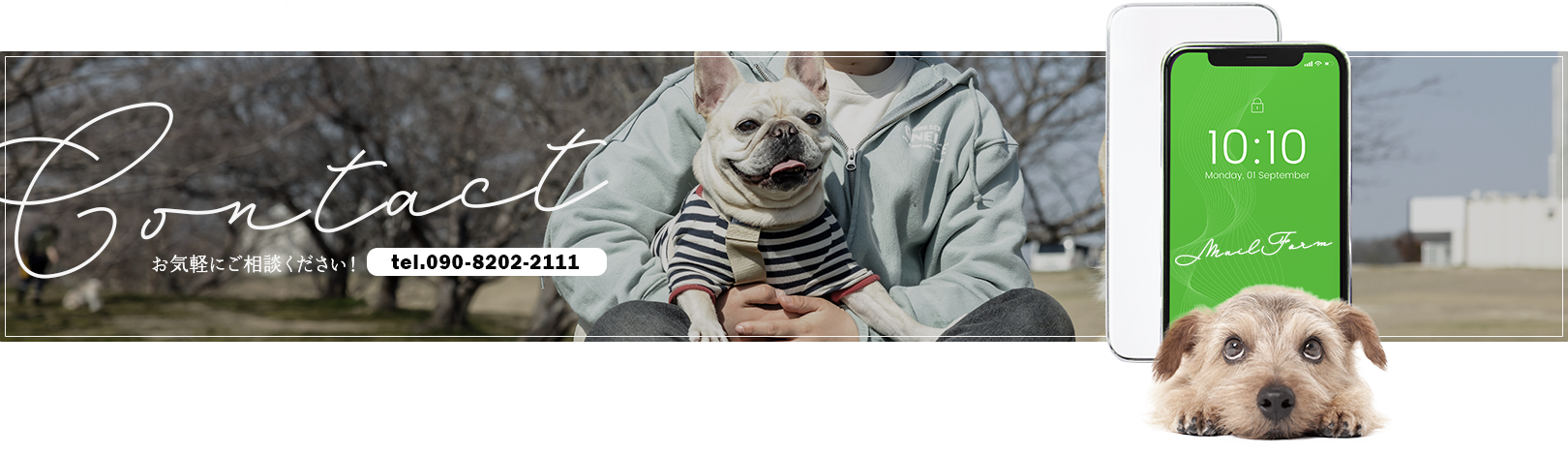 banner_contact