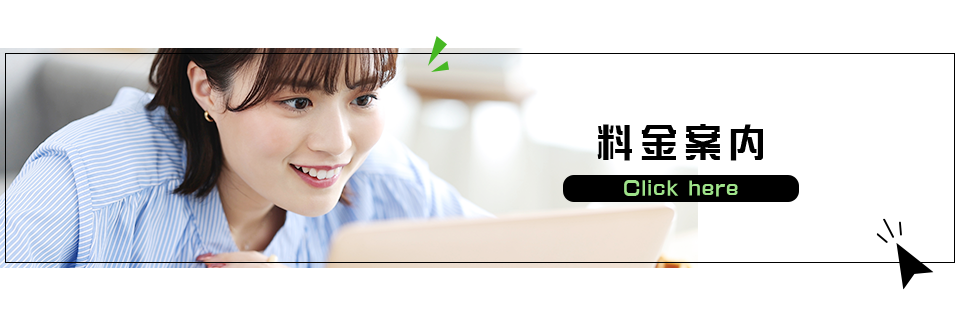 banner_system_off