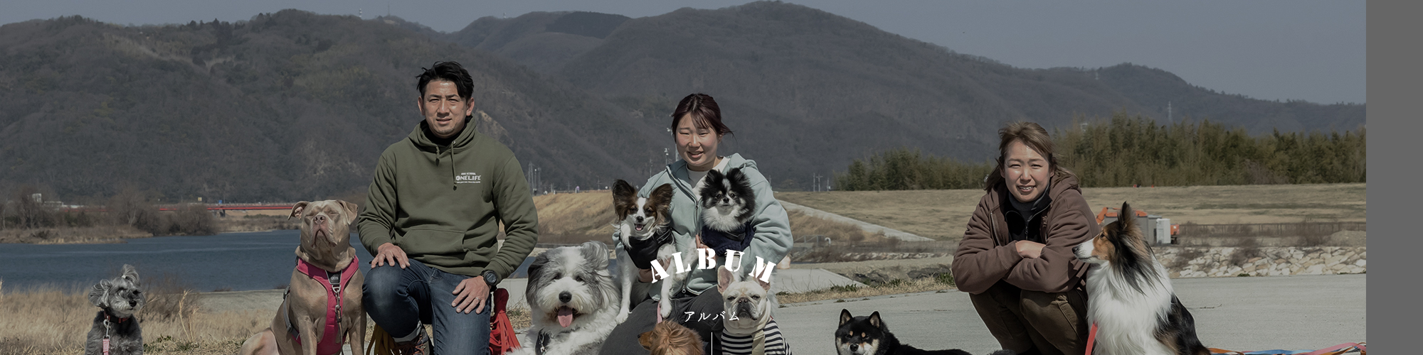 アルバム